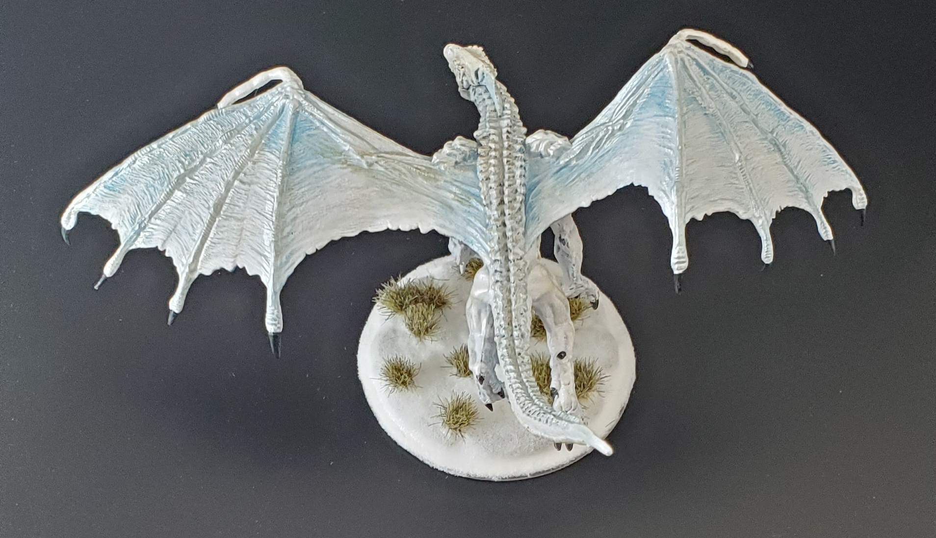 Young White Dragon